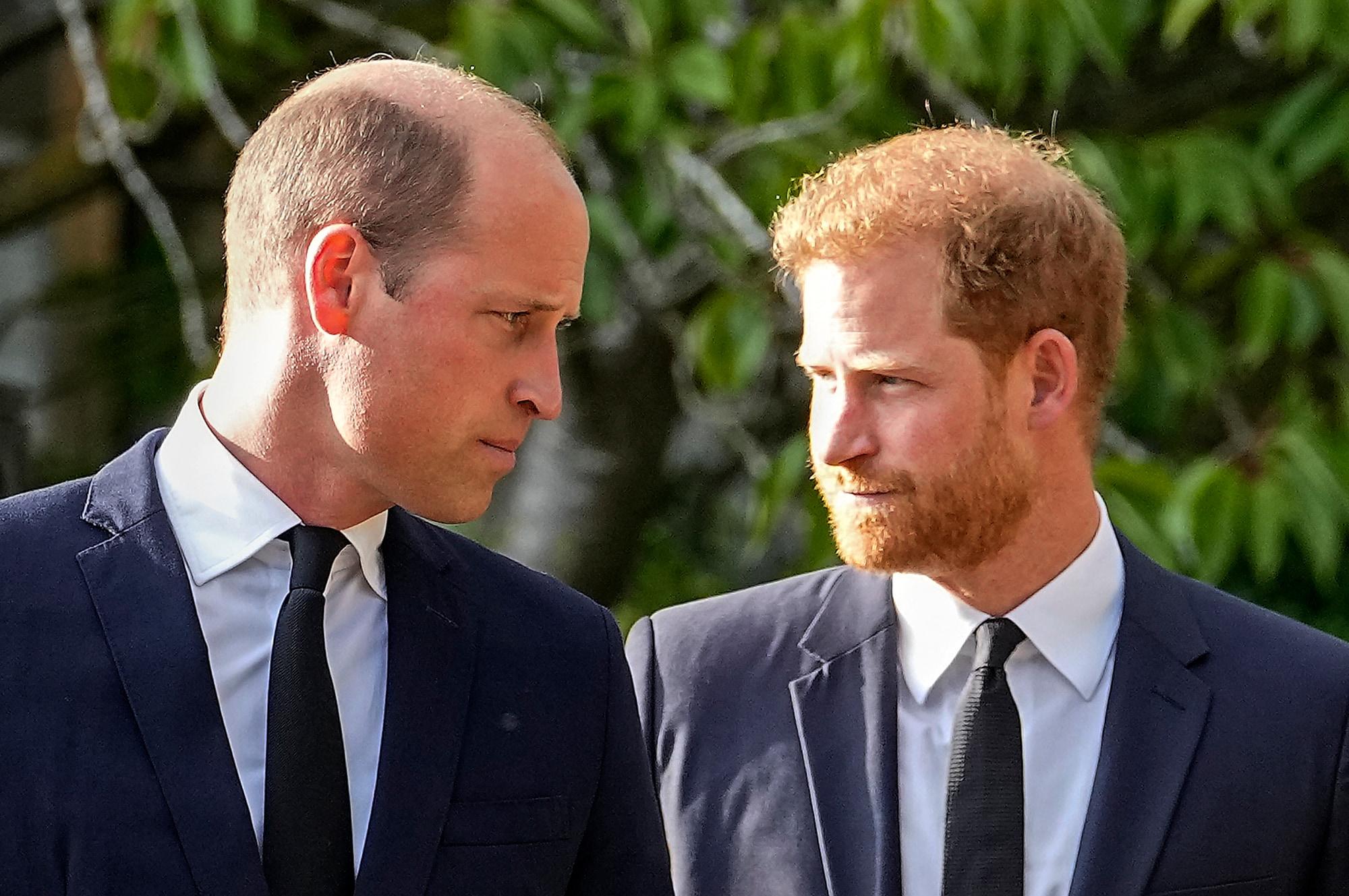 Prince Harry and Prince William amid reports of a strained relationship.